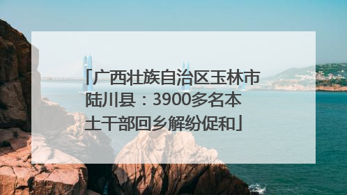 广西壮族自治区玉林市陆川县：3900多名本土干部回乡解纷促和
