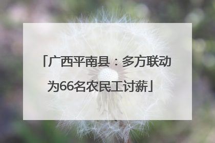 广西平南县：多方联动为66名农民工讨薪