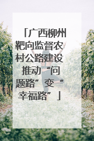 广西柳州靶向监督农村公路建设 推动“问题路”变“幸福路”