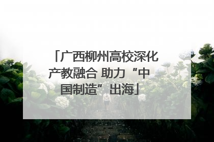 广西柳州高校深化产教融合 助力“中国制造”出海