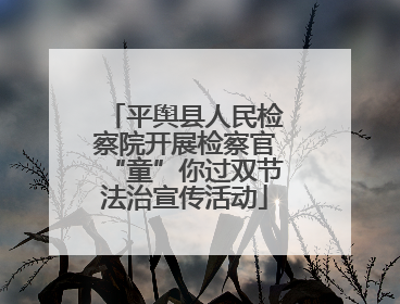 平舆县人民检察院开展检察官“童”你过双节法治宣传活动
