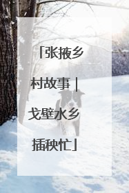 张掖乡村故事｜戈壁水乡插秧忙