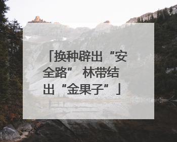 换种辟出“安全路” 林带结出“金果子”