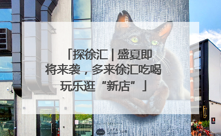 探徐汇 | 盛夏即将来袭，多来徐汇吃喝玩乐逛“新店”
