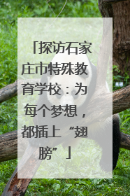 探访石家庄市特殊教育学校：为每个梦想，都插上“翅膀”