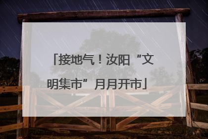 接地气！汝阳“文明集市”月月开市