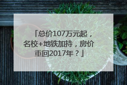 总价107万元起，名校+地铁加持，房价重回2017年？