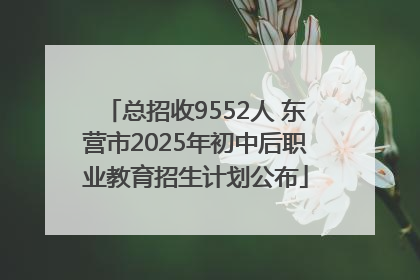 总招收9552人 东营市2025年初中后职业教育招生计划公布