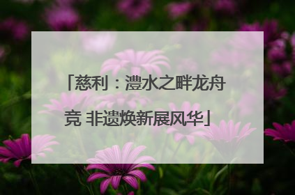 慈利：澧水之畔龙舟竞 非遗焕新展风华