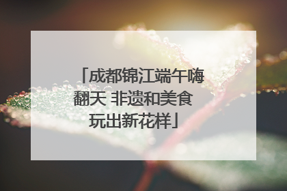 成都锦江端午嗨翻天 非遗和美食玩出新花样