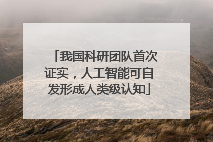 我国科研团队首次证实，人工智能可自发形成人类级认知