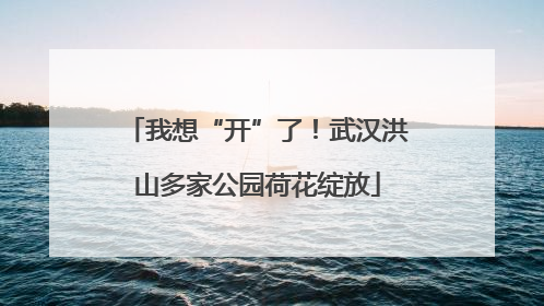 我想“开”了！武汉洪山多家公园荷花绽放