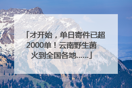 才开始，单日寄件已超2000单！云南野生菌火到全国各地……