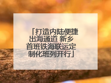 打造内陆便捷出海通道 新乡首班铁海联运定制化班列开行