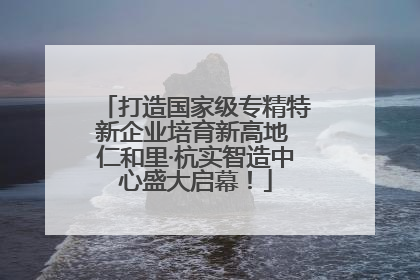 打造国家级专精特新企业培育新高地 仁和里·杭实智造中心盛大启幕！