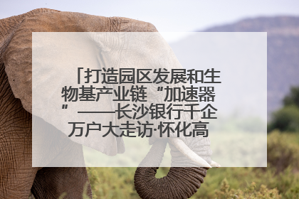打造园区发展和生物基产业链“加速器”——长沙银行千企万户大走访·怀化高新区、生物基产业链专场活动举行
