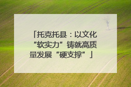 托克托县：以文化“软实力”铸就高质量发展“硬支撑”