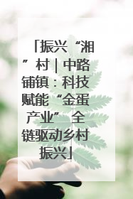 振兴“湘”村｜中路铺镇：科技赋能“金蛋产业” 全链驱动乡村振兴
