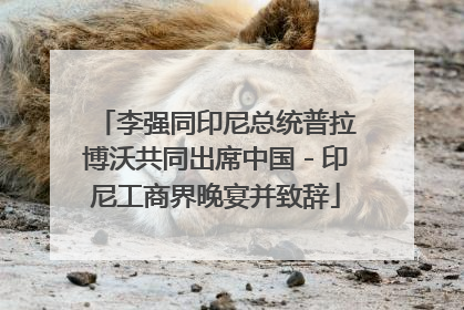 李强同印尼总统普拉博沃共同出席中国－印尼工商界晚宴并致辞