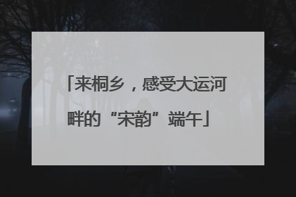 来桐乡，感受大运河畔的“宋韵”端午