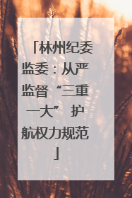 林州纪委监委：从严监督“三重一大” 护航权力规范