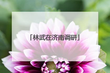 林武在济南调研