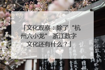 文化观察：除了“杭州六小龙” 浙江数字文化还有什么？