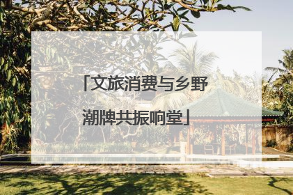 文旅消费与乡野潮牌共振响堂