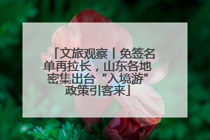 文旅观察丨免签名单再拉长，山东各地密集出台“入境游”政策引客来