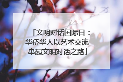 文明对话国际日：华侨华人以艺术交流串起文明对话之路