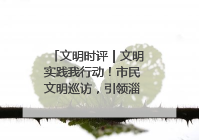 文明时评｜文明实践我行动！市民文明巡访，引领淄博全民志愿