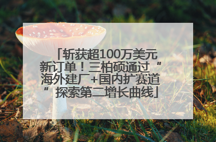 斩获超100万美元新订单！三柏硕通过“海外建厂+国内扩赛道”探索第二增长曲线