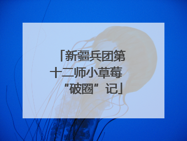 新疆兵团第十二师小草莓“破圈”记