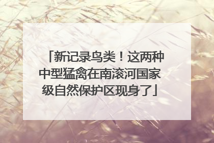 新记录鸟类！这两种中型猛禽在南滚河国家级自然保护区现身了