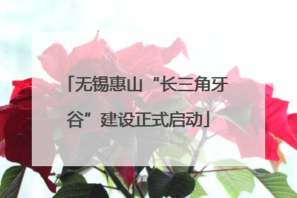 无锡惠山“长三角牙谷”建设正式启动