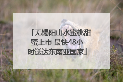 无锡阳山水蜜桃甜蜜上市 最快48小时送达东南亚国家