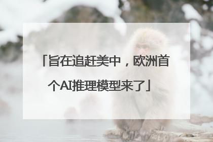旨在追赶美中，欧洲首个AI推理模型来了