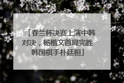 春兰杯决赛上演中韩对决，杨楷文首局完胜韩国棋手朴廷桓