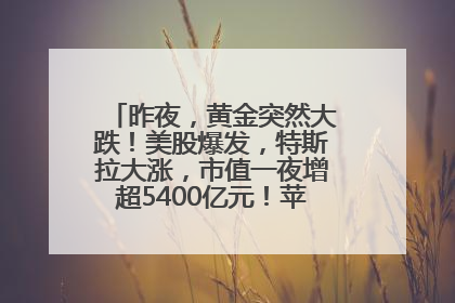 昨夜，黄金突然大跌！美股爆发，特斯拉大涨，市值一夜增超5400亿元！苹果传来大消息