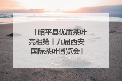 昭平县优质茶叶亮相第十九届西安国际茶叶博览会