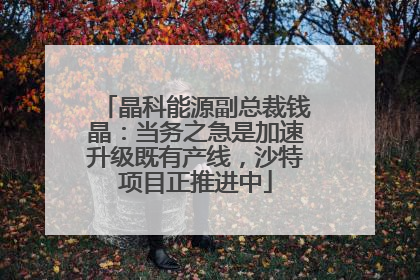 晶科能源副总裁钱晶：当务之急是加速升级既有产线，沙特项目正推进中