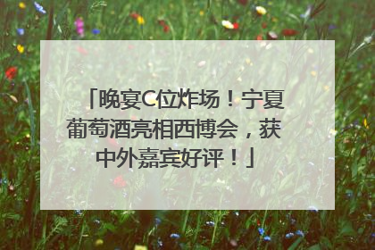 晚宴C位炸场！宁夏葡萄酒亮相西博会，获中外嘉宾好评！