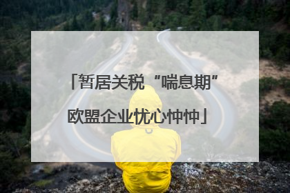 暂居关税“喘息期” 欧盟企业忧心忡忡
