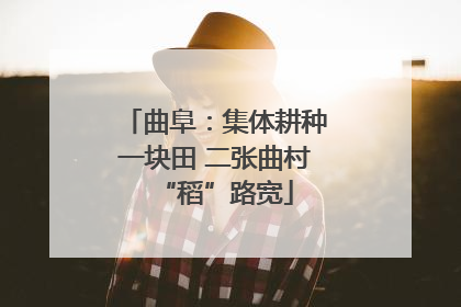 曲阜：集体耕种一块田 二张曲村“稻”路宽