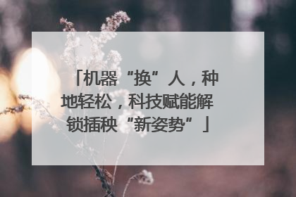 机器“换”人，种地轻松，科技赋能解锁插秧“新姿势”