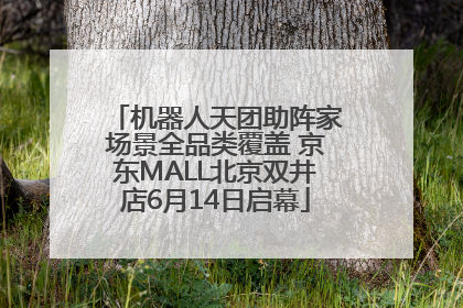 机器人天团助阵家场景全品类覆盖 京东MALL北京双井店6月14日启幕