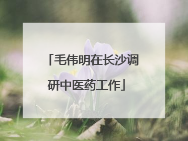 毛伟明在长沙调研中医药工作