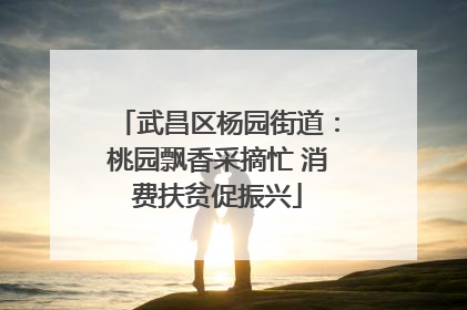 武昌区杨园街道：桃园飘香采摘忙 消费扶贫促振兴