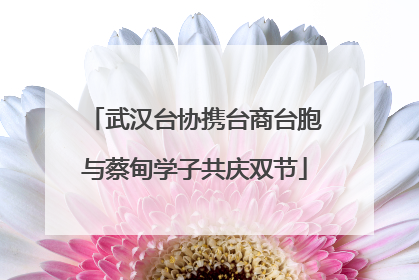 武汉台协携台商台胞与蔡甸学子共庆双节