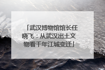 武汉博物馆馆长任晓飞：从武汉出土文物看千年江城变迁